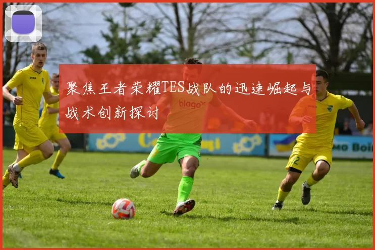 聚焦王者荣耀TES战队的迅速崛起与战术创新探讨