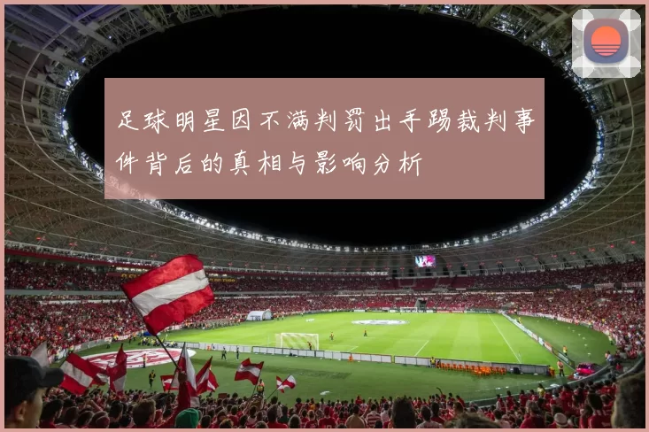 足球明星因不满判罚出手踢裁判事件背后的真相与影响分析
