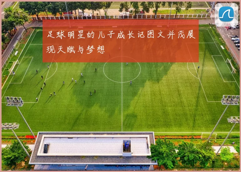足球明星的儿子成长记图文并茂展现天赋与梦想
