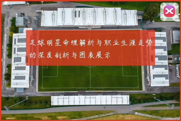 足球明星命理解析与职业生涯走势的深度剖析与图表展示