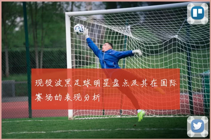 现役波黑足球明星盘点及其在国际赛场的表现分析