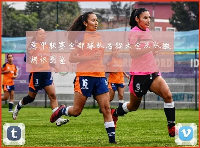 意甲联赛全部球队名称大全及队徽辨识图鉴