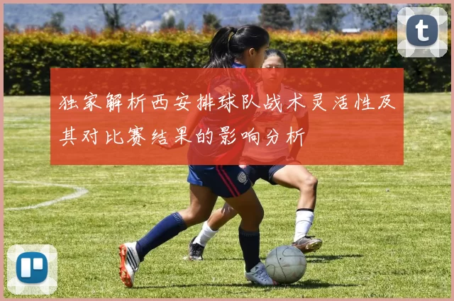 独家解析西安排球队战术灵活性及其对比赛结果的影响分析