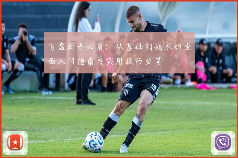 飞盘新手必看：从基础到战术的全面入门指南与实用技巧分享