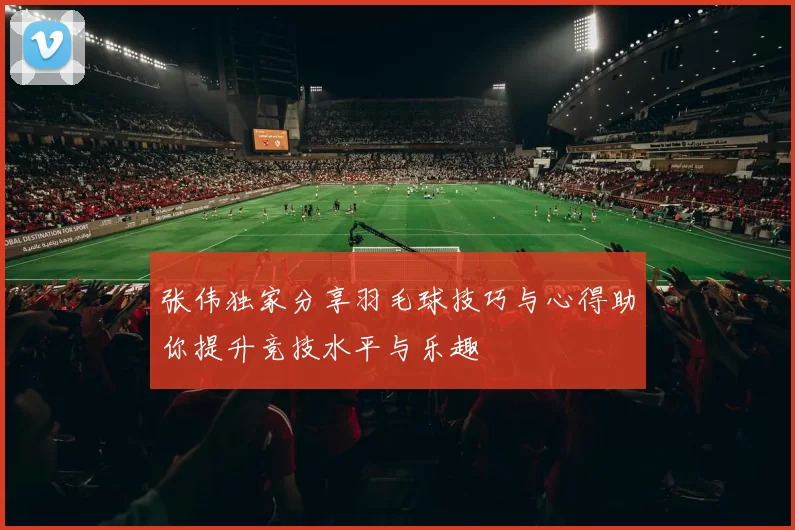 张伟独家分享羽毛球技巧与心得助你提升竞技水平与乐趣